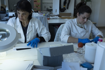 Conserva&ccedil;&atilde;o